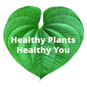 logo-healthyplants